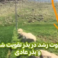 کود ارگانیک برای افزایش تناژ کشاورزی و باغات