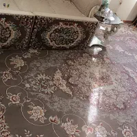 یک جفت فرش 12متری همراه پشتی
