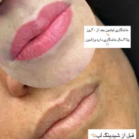 فیبروز ابرو با تکنیک نانو لیفت|خدمات آرایشگری و زیبایی|شیراز, خلدبرین|دیوار