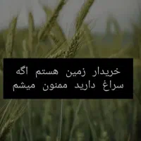 زمین