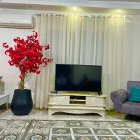 درختچه های مصنوعی وارداتی|گل مصنوعی|لاهیجان, رجایی|دیوار