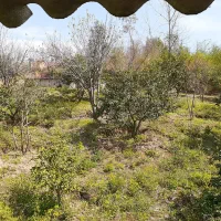 زمین باغی در خلیل شهر
