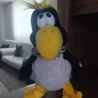 کلاغ موزیکال