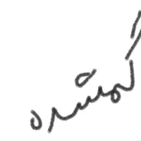 گردنبند گمشده ( سینه ریز )|جواهرات|تبریز, |دیوار