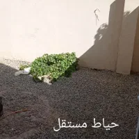 فروش آپارتمان ۸۶ متری ۱ خوابه همکف در الارد|فروش آپارتمان|رباط‌کریم, الارد|دیوار