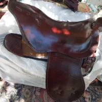 زین اسب|اسب و تجهیزات اسب‌سواری|اهر, |دیوار