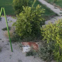 فروش قطعه زمین جهت ویلاباغ کوره جبور