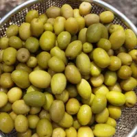 زیتون و روغن زیتون از باغ