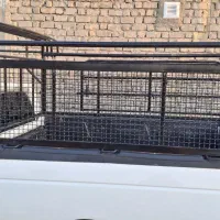 اطاق بار آریسان