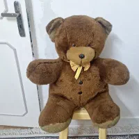 خرس شاسقین بزرگ