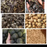 لیمو خشک عمده و خرده