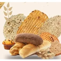 کارگرساده خانم