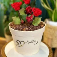 کیک روز مادر|خوردنی و آشامیدنی|سبزوار, طبرسی (جعفرآباد)|دیوار