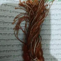 دعا وسرکتاب  استخاره