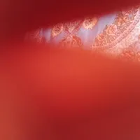 دنبال کارم