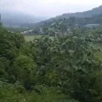 ۹۸۰متر زمین با ۸۰متر بنا بلوکی ..املش به اطاقور