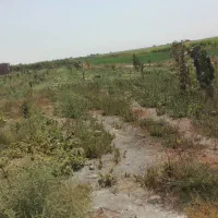 زمین باهرکاربری از1000مترتا1000هکتار|فروش دفتر صنعتی، کشاورزی، تجاری|مشهد, شهید جنگی|دیوار