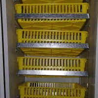 تخم غاز از شما دستگاه از ما ۵۰/۵۰