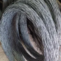 سیم دس و قالب دس (سیم دوس و قالب دوس شد)