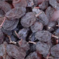 کشمش افتابی|خوردنی و آشامیدنی|شال, |دیوار