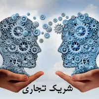 شریک تجاری
