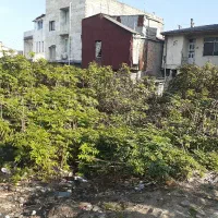 ۳۰۰ متر زمین