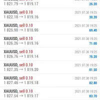 استراتژی پول ساز  فارکس