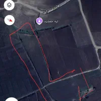 اجاره زمین ۲ هکتاری مناسب کشاورزی