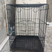 قفس پرنده|لوازم جانبی حیوانات|رباط‌کریم, رباط‌کریم|دیوار