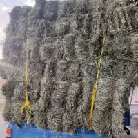 چین اول یونجه