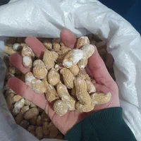 تخمه بساطی .تخمه چینی.تخمه بازار روز. تخمه طعم دار|عمده‌فروشی|تهران, وردآورد|دیوار