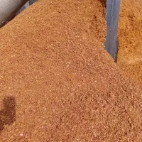 تفاله چغندر وسیب وعلوفه ذرت|عمدهفروشی|زنجان, |دیوار