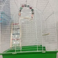 خانه پرندگان لاهیجان میدان جمهوری خیابان توحید|پرنده|لاهیجان, طالقانی|دیوار