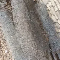 فنس طور  مرغی