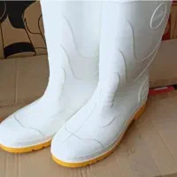 چکمه ساق بلند|کیف، کفش، کمربند|رفسنجان, |دیوار