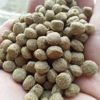 انواع بچه ماهی کپور و آمور امساله|ماهی|گرگان, |دیوار