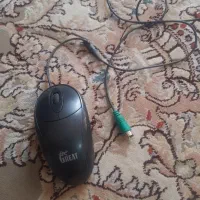 موس سالم