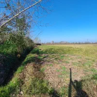 خانه و شالیزار/هشت دقیقه تا گلسار/1 هکتار/چسب هم|فروش خانه و ویلا|رشت, بلوار گیلان|دیوار