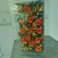 جاادویه|ظروف نگهدارنده، پلاستیکی، یک‌بارمصرف|ارومیه, |دیوار