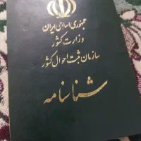 شناسنامه گم شده