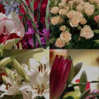 گلفروشی لوکس هرمس