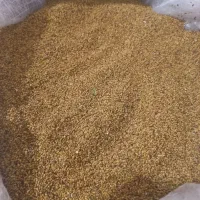 بذریونجه  آبسردو رودبار