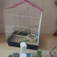 قفس پرنده