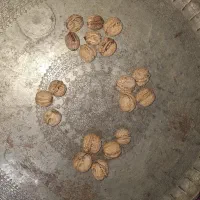 نهال گردو|خدمات باغبانی و درختکاری|سرولایت, |دیوار