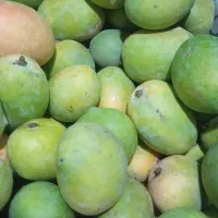 انبه کال و لیمو