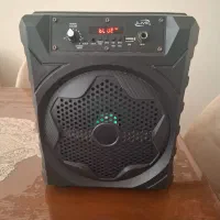 اسپیکر باند،رادیو
