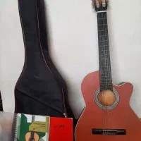 گیتاردیاموند