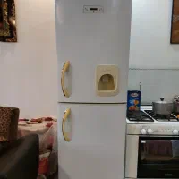 یخچال فریزر الکترو استیل