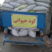 گود حیوانی