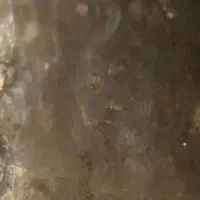 کهربا|کلکسیون اشیاء عتیقه|پاکدشت, شهرک امام رضا|دیوار